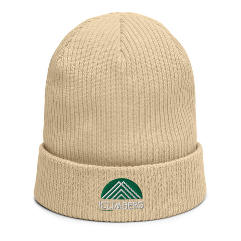 Organic ribbed beanie