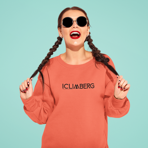 Branded Unisex organic raglan sweatshirt