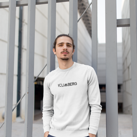 Branded Unisex organic raglan sweatshirt